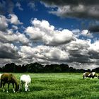 Ruhe vor dem Sturm