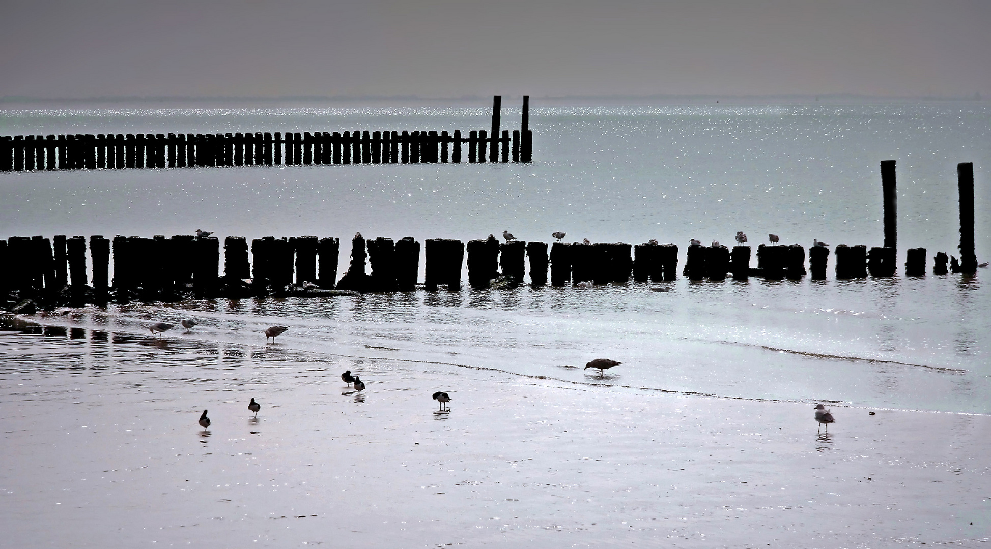 Ruhe vor dem Sturm (2)