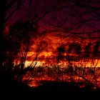  Ruhe vor dem Sturm (2)