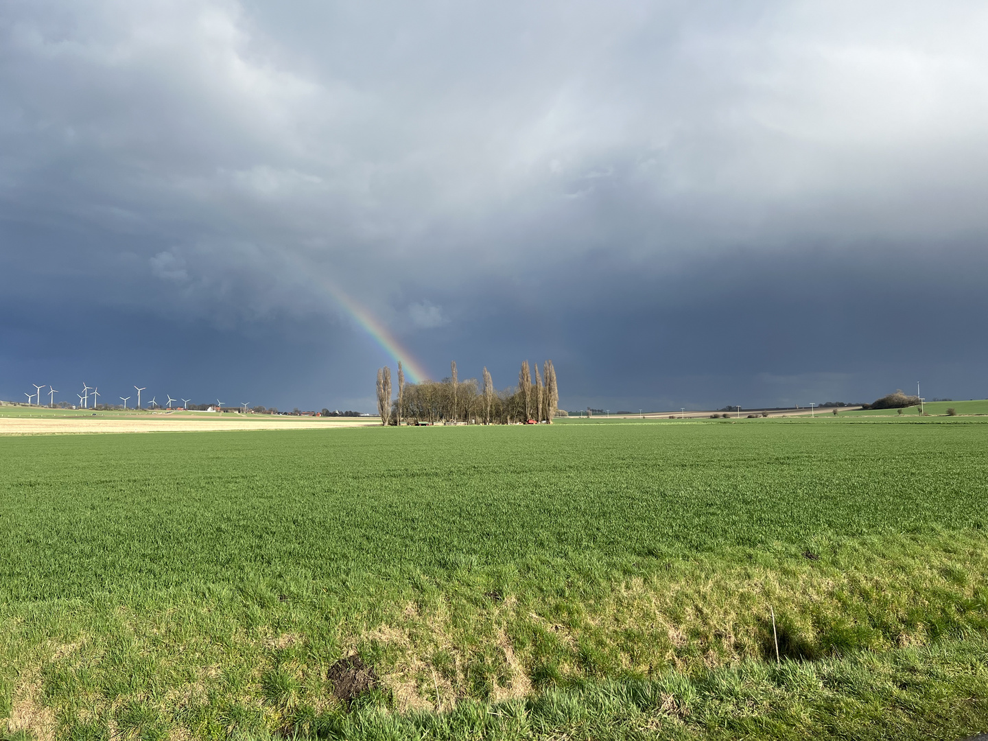 Ruhe vor dem Sturm