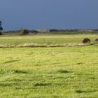 Ruhe vor dem Sturm