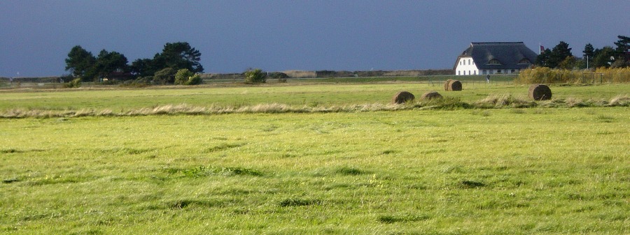 Ruhe vor dem Sturm