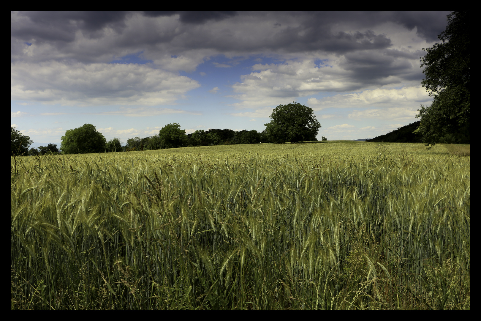 Ruhe vor dem Sturm