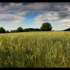 Ruhe vor dem Sturm