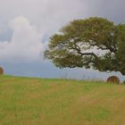 ruhe vor dem sturm