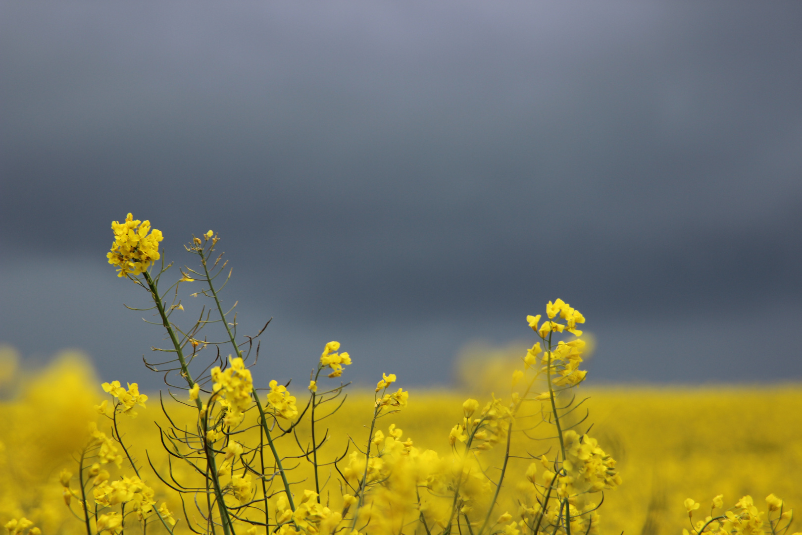 Ruhe vor dem Sturm