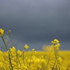 Ruhe vor dem Sturm