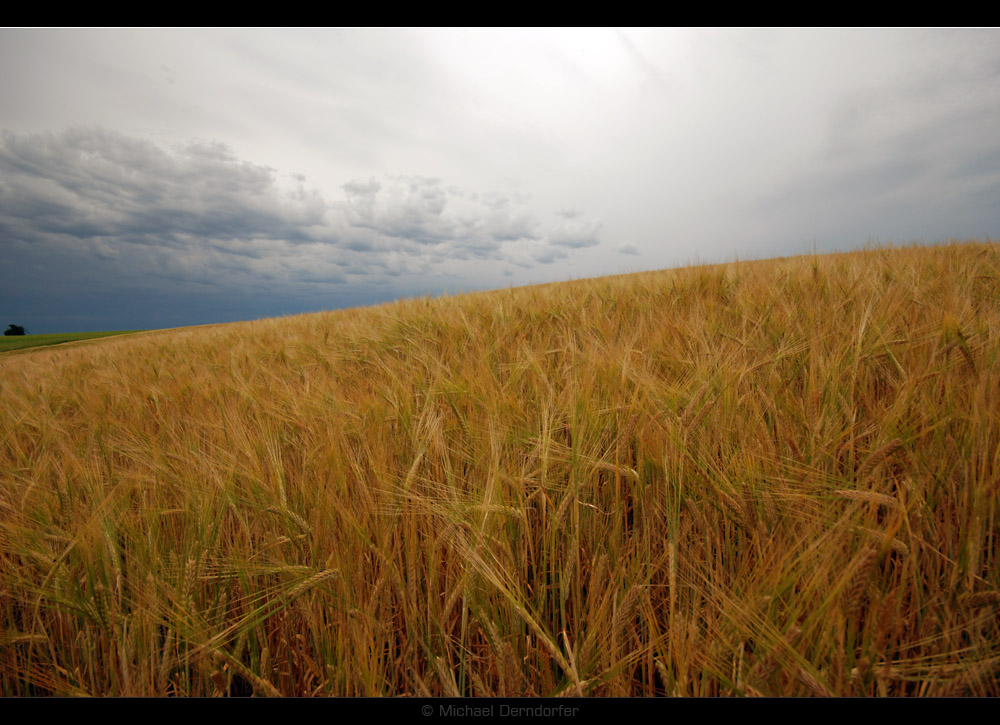 Ruhe vor dem Sturm