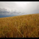 Ruhe vor dem Sturm