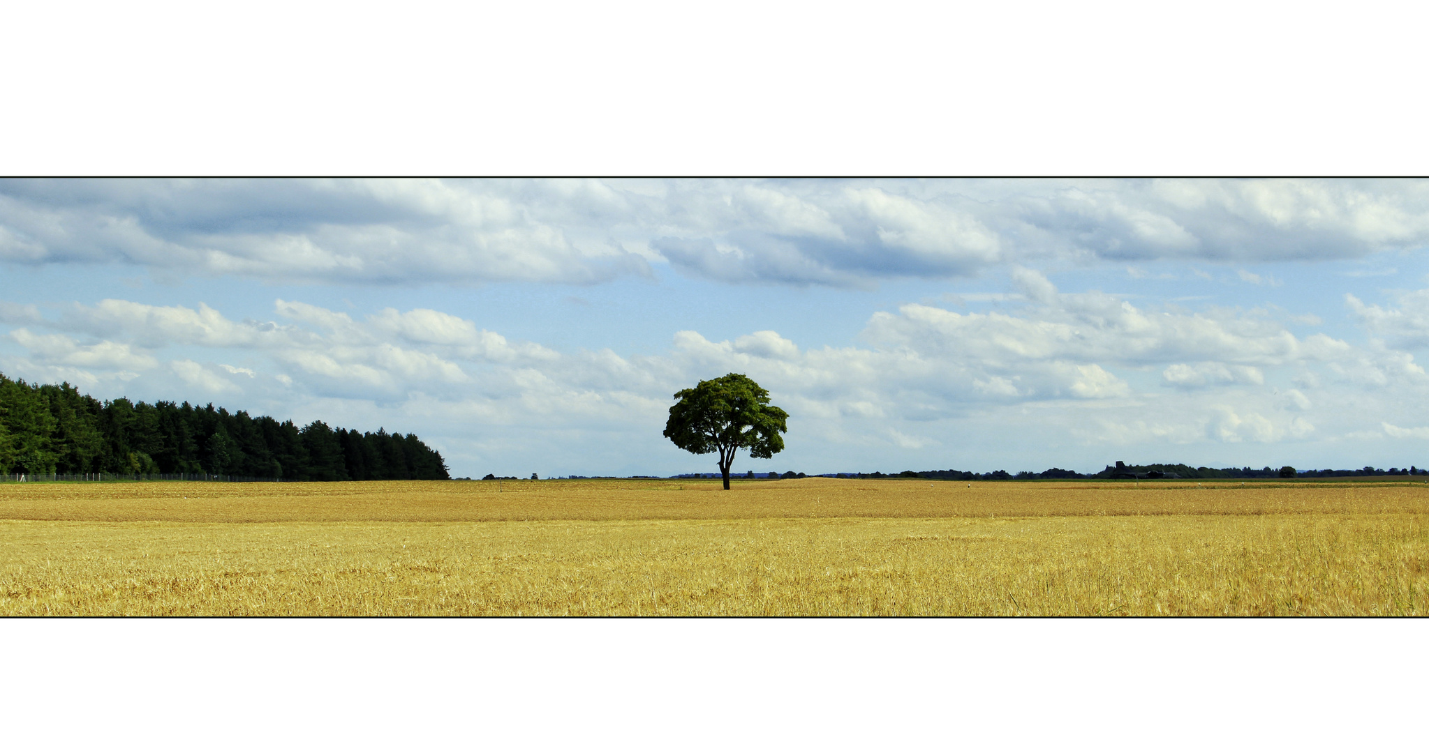 Ruhe vor dem Sturm