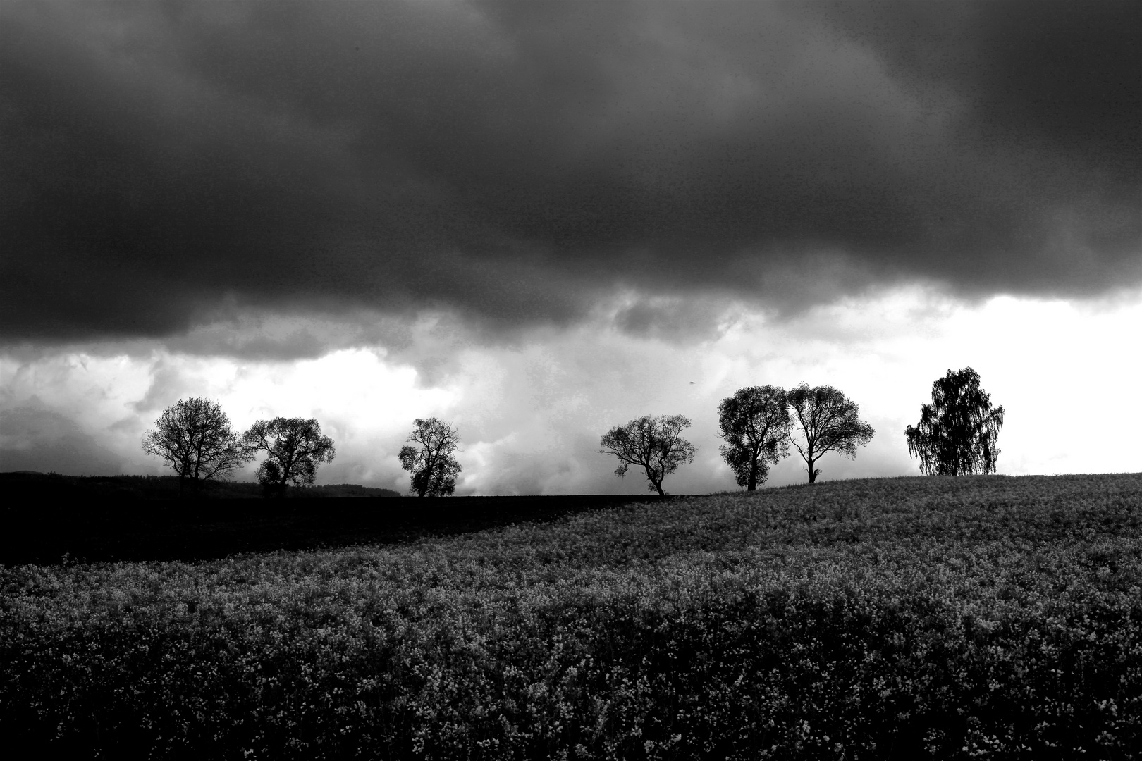 Ruhe vor dem Sturm