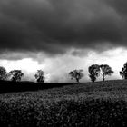 Ruhe vor dem Sturm