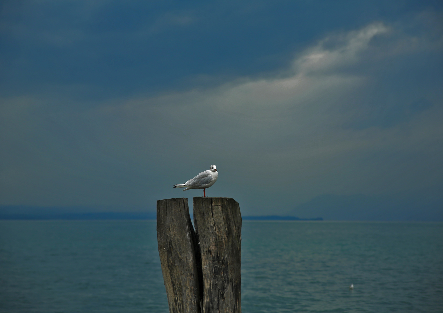 Ruhe vor dem Sturm....