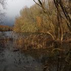 Ruhe vor dem Sturm