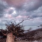 Ruhe vor dem Sturm