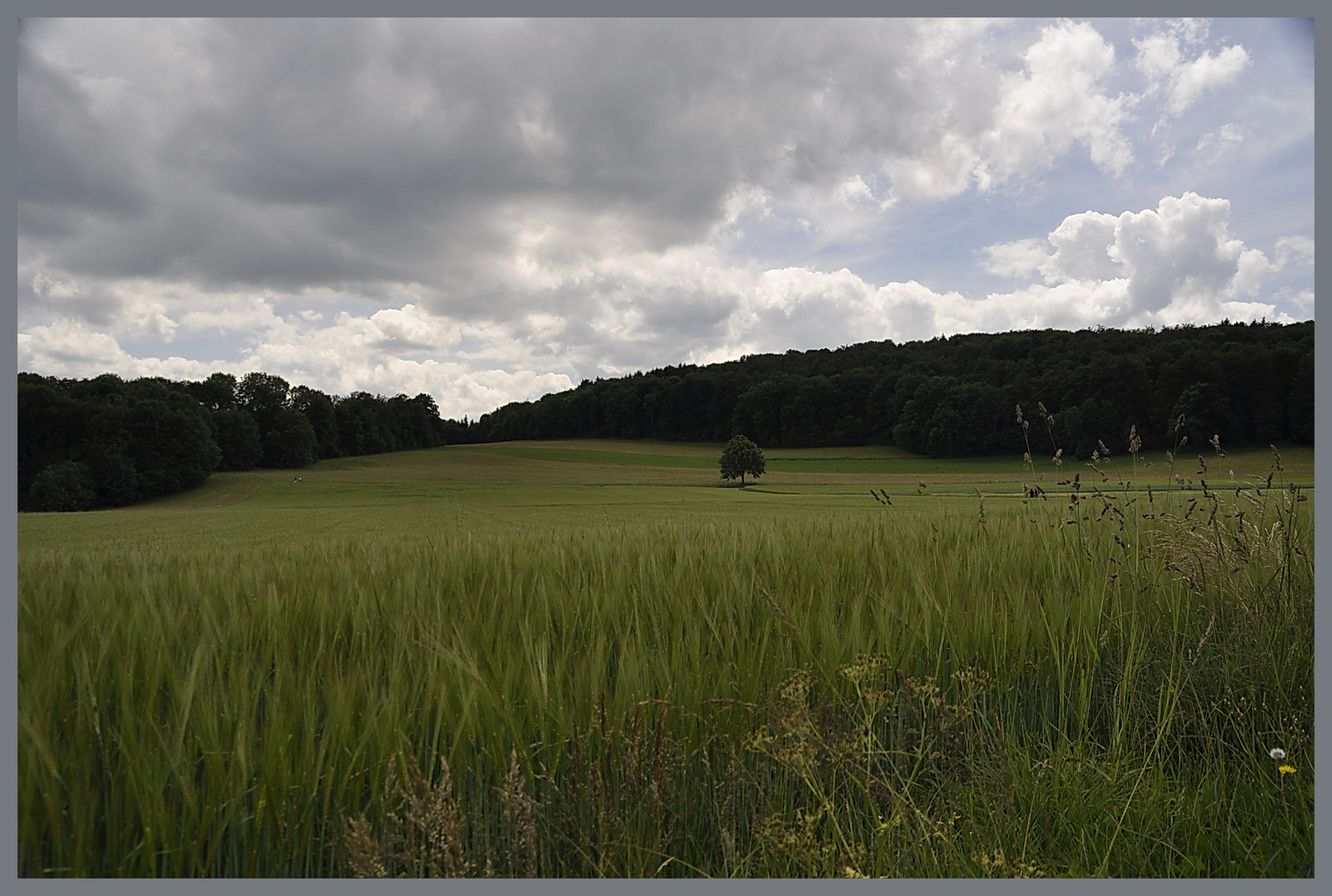 Ruhe vor dem Sturm