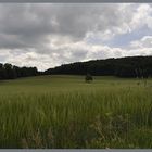 Ruhe vor dem Sturm