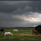 Ruhe vor dem Sturm