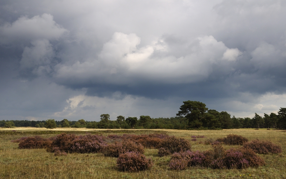 Ruhe vor dem Sturm