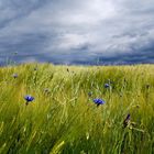 Ruhe vor dem Sturm