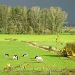 Ruhe vor dem Sturm