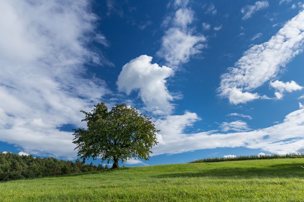 Ruhe vor dem Sturm