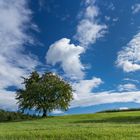 Ruhe vor dem Sturm