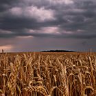 Ruhe vor dem Sturm