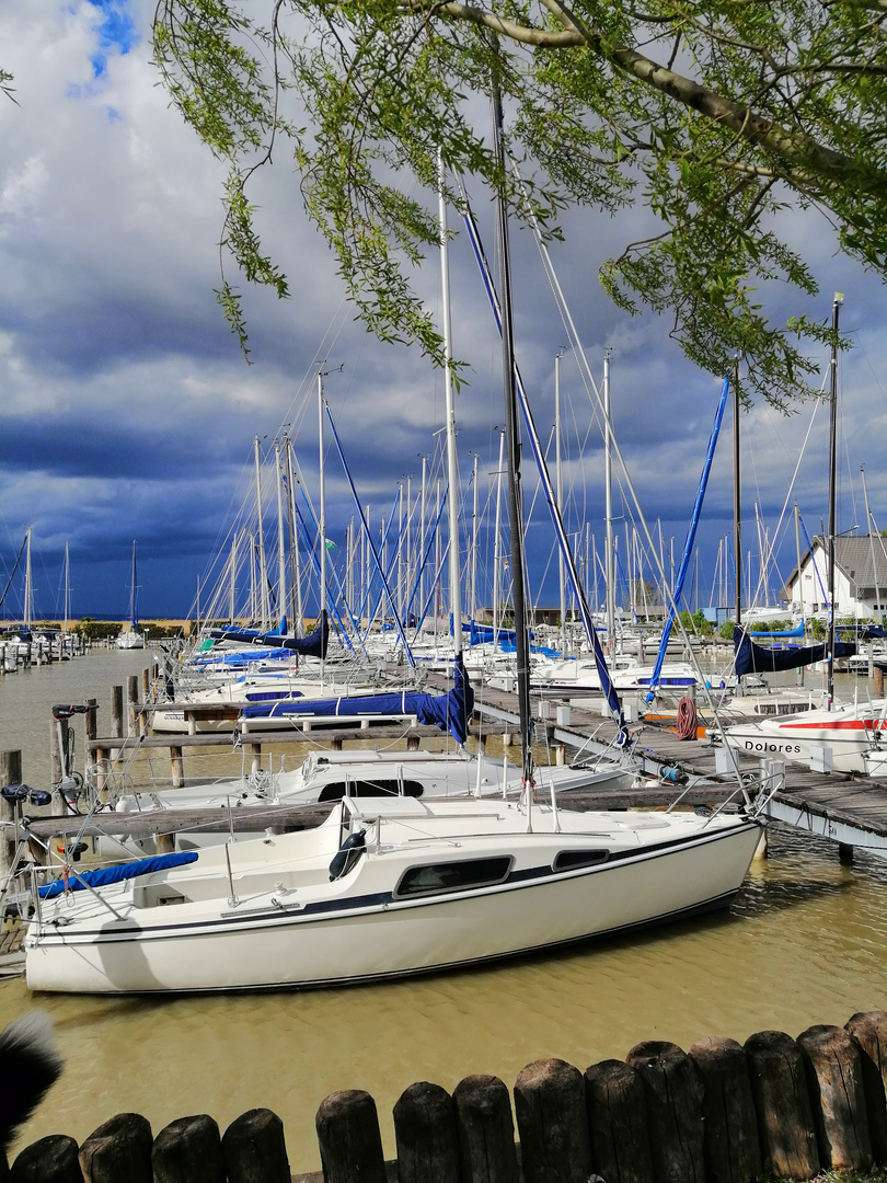 Ruhe vor dem Sturm 