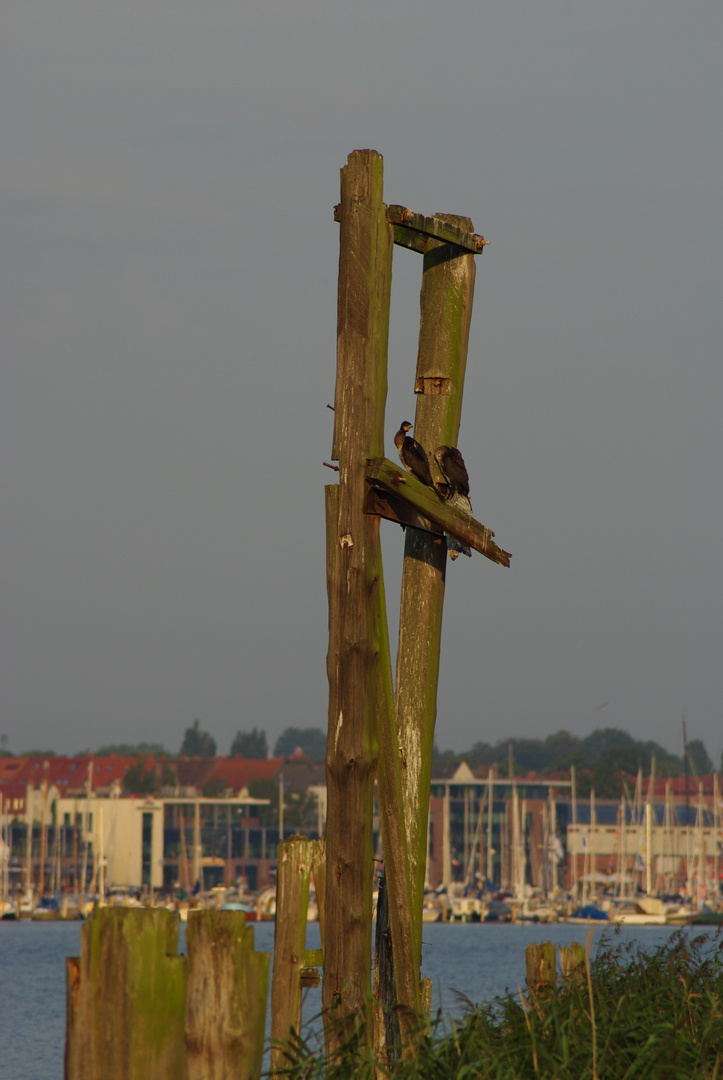 Ruhe vor dem Sturm