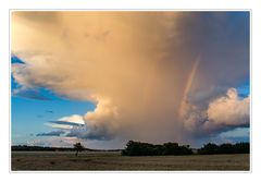 Ruhe vor dem Sturm (reload)