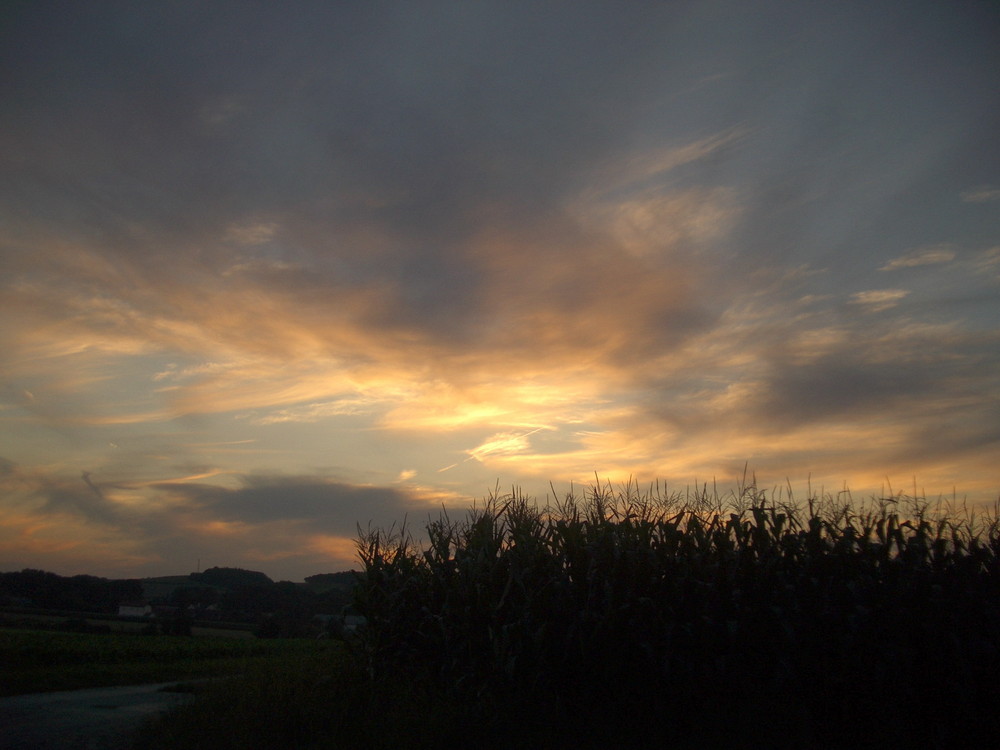 Ruhe vor dem "Wind"