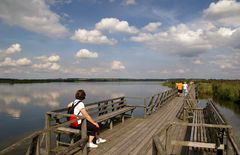 Ruhebänke mit Ausblick auf den Federsee