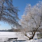 Ruhebank am Krickenbecker See