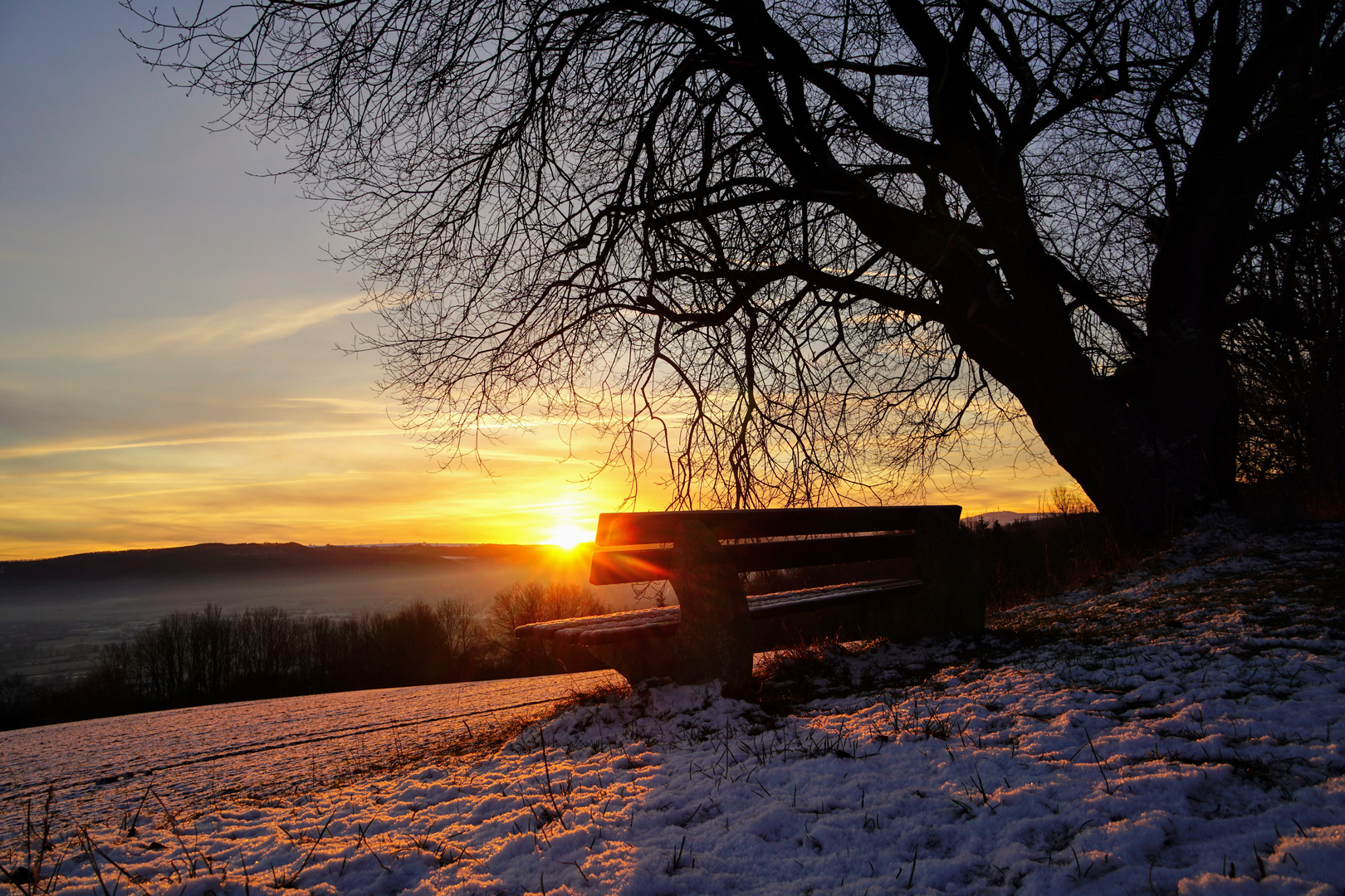 Ruhebank im Morgenlicht