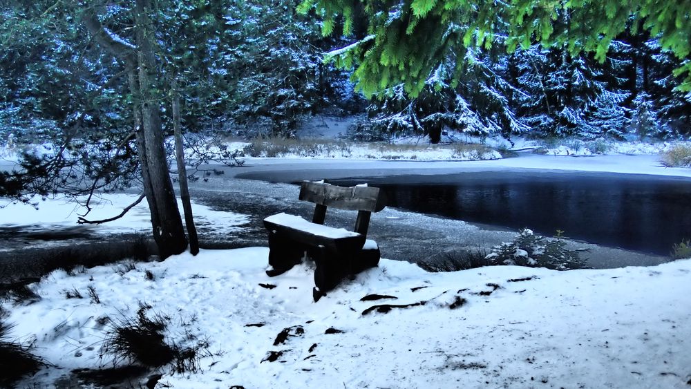 Ruhebank im Winterschlaf