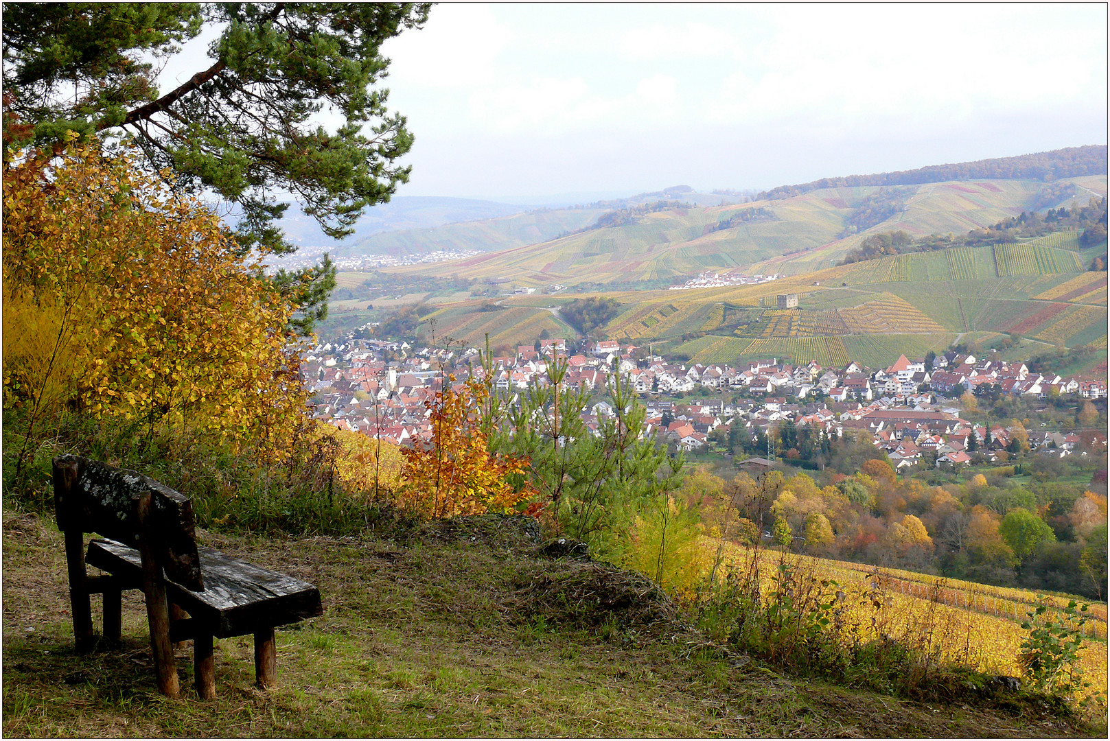 Ruhebank mit Aussicht