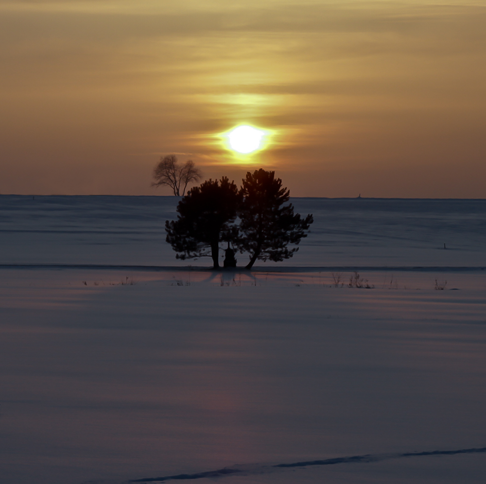 Ruheinsel im Schnee