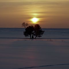 Ruheinsel im Schnee