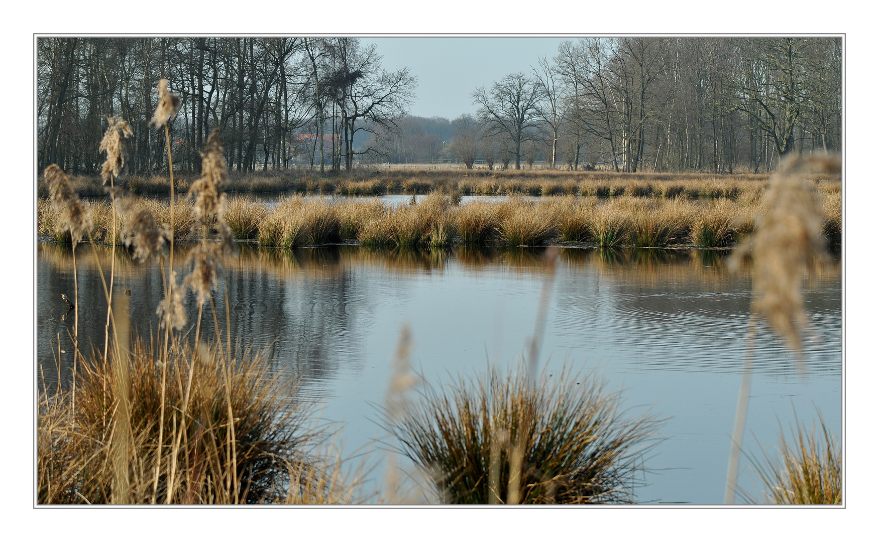 "Ruhende Natur"