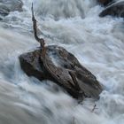 ruhender Stein in tobendem Wasser