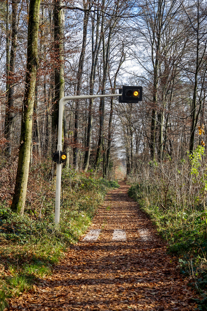 Ruhender Verkehr