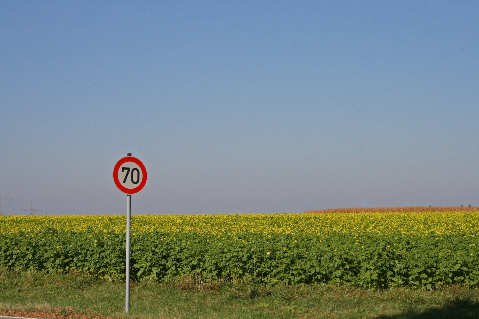 Ruhender Verkehr