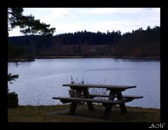 Ruheoase Stausee Ottenstein