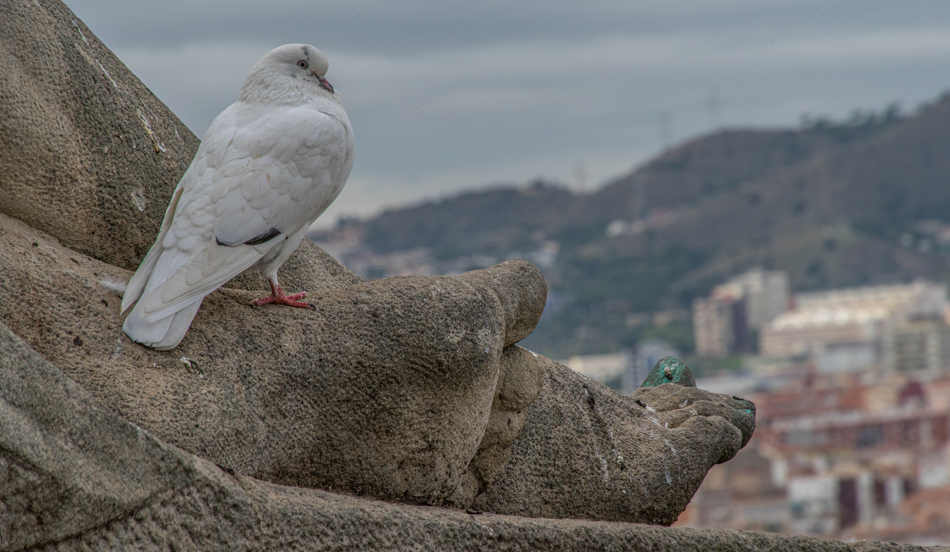 Ruhepäuschen - Barcelona