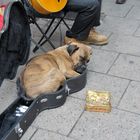 Ruhepause fuer Strassenmusikant in Strasbourg