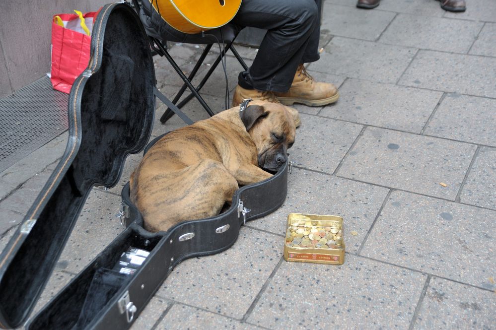 Ruhepause fuer Strassenmusikant in Strasbourg