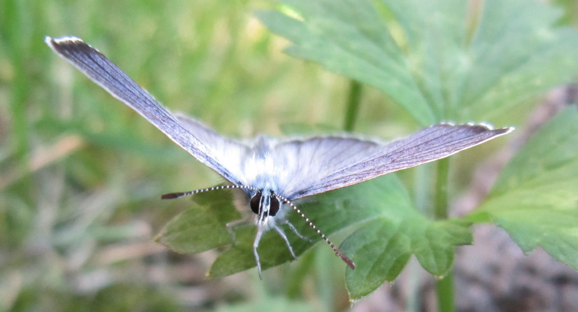 Ruhepause im Garten