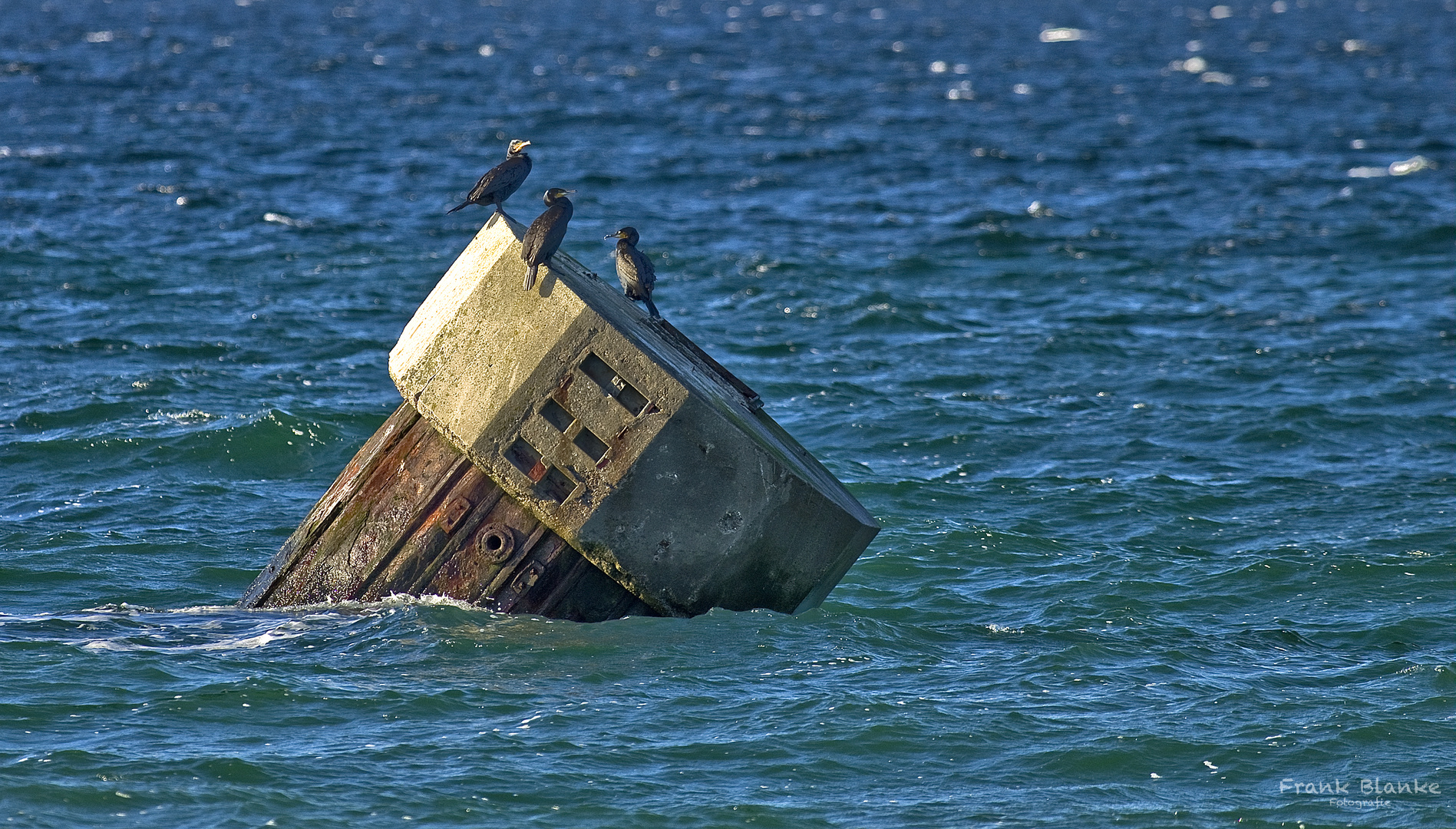 Ruhepause im Meer