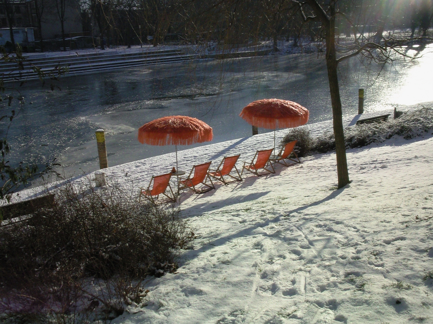 Ruheplätze im Schnee